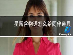 星露谷物语怎么给同伴道具