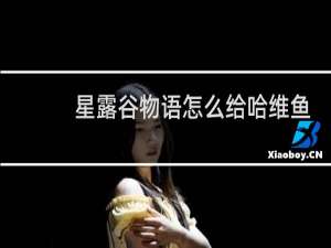 星露谷物语怎么给哈维鱼