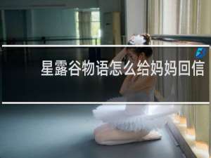 星露谷物语怎么给妈妈回信