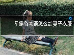 星露谷物语怎么给妻子衣服