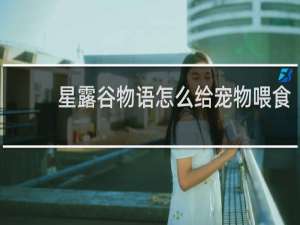 星露谷物语怎么给宠物喂食