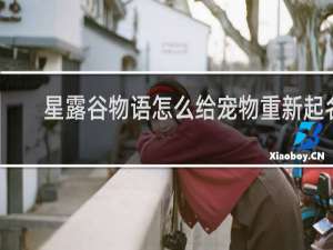 星露谷物语怎么给宠物重新起名