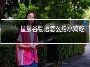 星露谷物语怎么给小鸡吃