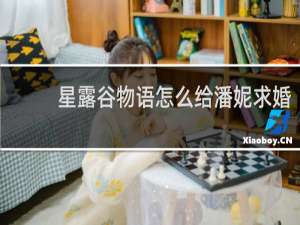 星露谷物语怎么给潘妮求婚