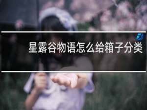 星露谷物语怎么给箱子分类