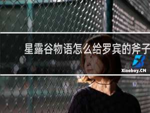 星露谷物语怎么给罗宾的斧子