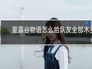 星露谷物语怎么给队友全部木头