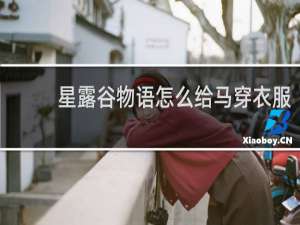 星露谷物语怎么给马穿衣服