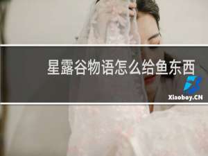 星露谷物语怎么给鱼东西