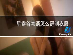 星露谷物语怎么缝制衣服