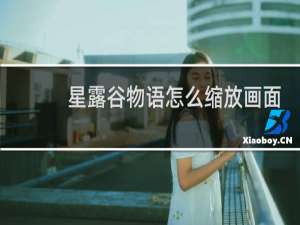 星露谷物语怎么缩放画面