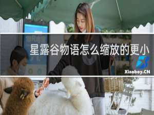 星露谷物语怎么缩放的更小