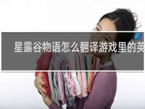 星露谷物语怎么翻译游戏里的英文