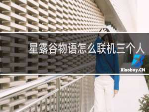 星露谷物语怎么联机三个人