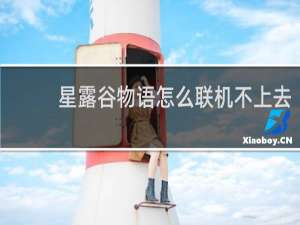 星露谷物语怎么联机不上去