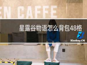 星露谷物语怎么背包48格