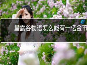 星露谷物语怎么能有一亿金币