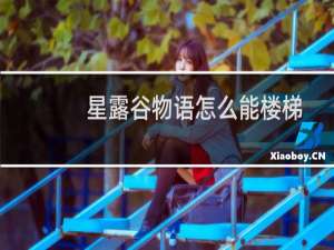 星露谷物语怎么能楼梯