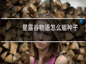 星露谷物语怎么能种子