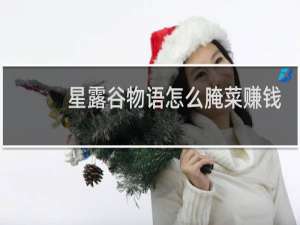 星露谷物语怎么腌菜赚钱