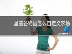星露谷物语怎么自定义农场