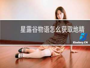 星露谷物语怎么获取地精