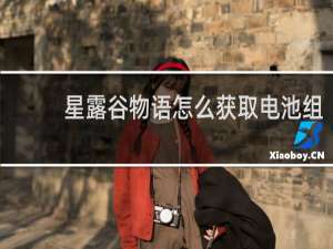 星露谷物语怎么获取电池组
