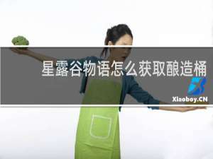 星露谷物语怎么获取酿造桶