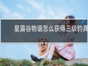 星露谷物语怎么获得三级钓具