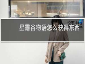 星露谷物语怎么获得东西