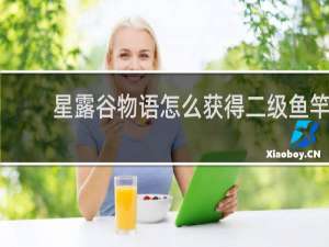 星露谷物语怎么获得二级鱼竿