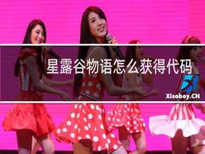 星露谷物语怎么获得代码