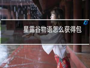 星露谷物语怎么获得包