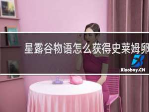星露谷物语怎么获得史莱姆卵