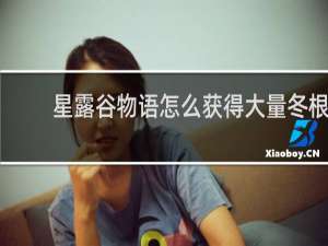 星露谷物语怎么获得大量冬根