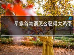星露谷物语怎么获得大鸡蛋
