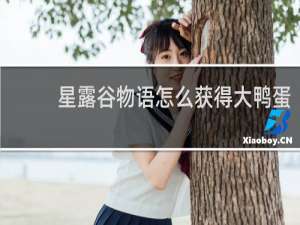 星露谷物语怎么获得大鸭蛋