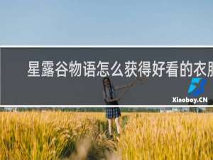 星露谷物语怎么获得好看的衣服