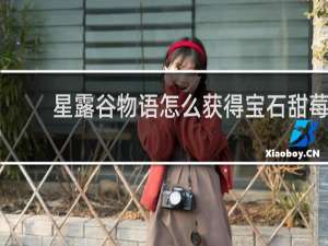 星露谷物语怎么获得宝石甜莓