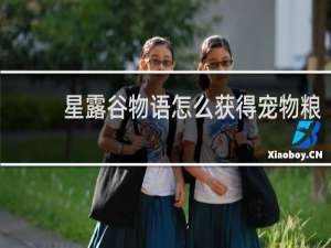星露谷物语怎么获得宠物粮