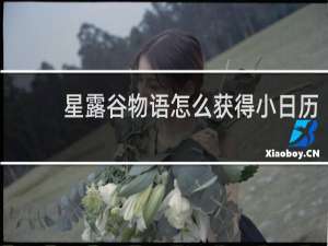 星露谷物语怎么获得小日历