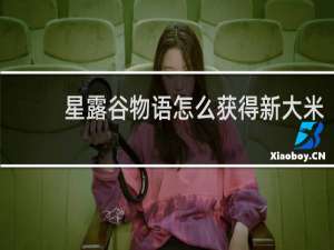 星露谷物语怎么获得新大米