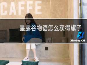 星露谷物语怎么获得旗子