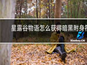 星露谷物语怎么获得暗黑附身符
