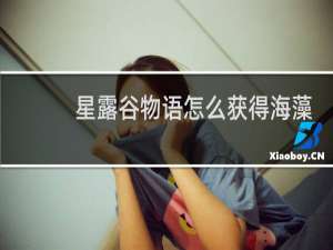 星露谷物语怎么获得海藻