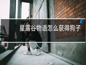 星露谷物语怎么获得狗子