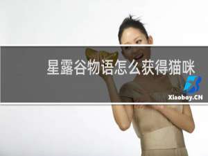 星露谷物语怎么获得猫咪