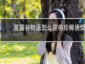 星露谷物语怎么获得珍稀诱饵