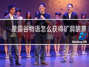 星露谷物语怎么获得矿洞胡萝卜