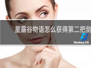星露谷物语怎么获得第二把剑